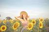 term life insurance