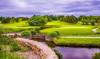 term life insurance
