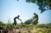 term life insurance