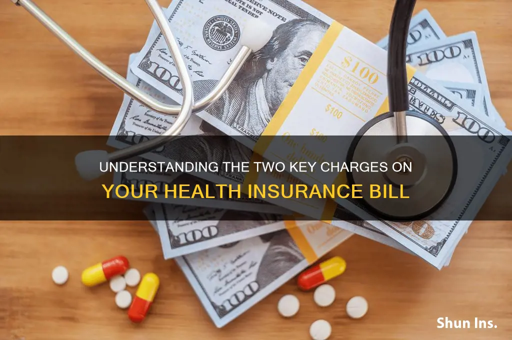 what 2 charges are charged to my health insurances