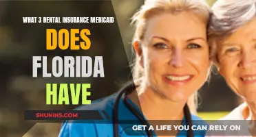 Florida's Dental Insurance Medicaid Options Explained