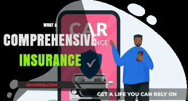 Insurance Comprehensive: What It Covers and Why You Need It