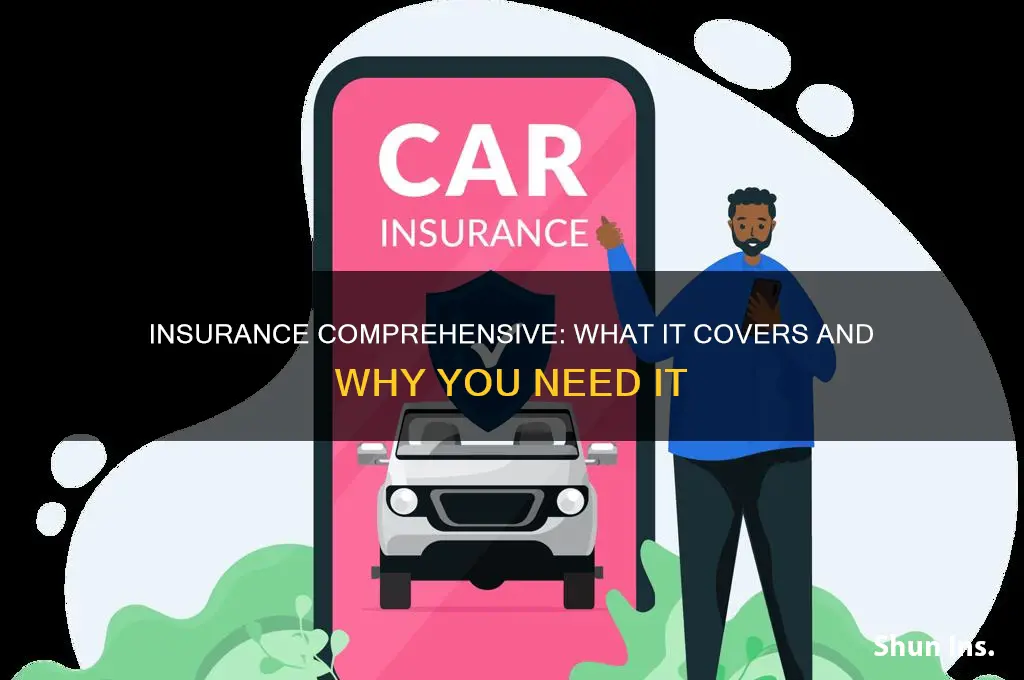 what a comprehensive insurance