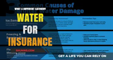 Understanding Insurance: Different Categories of Water Claims