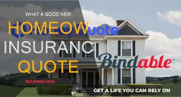New Homeowner? Get the Right Insurance Coverage