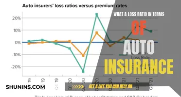 Understanding Auto Insurance Loss Ratios: Claims and Costs