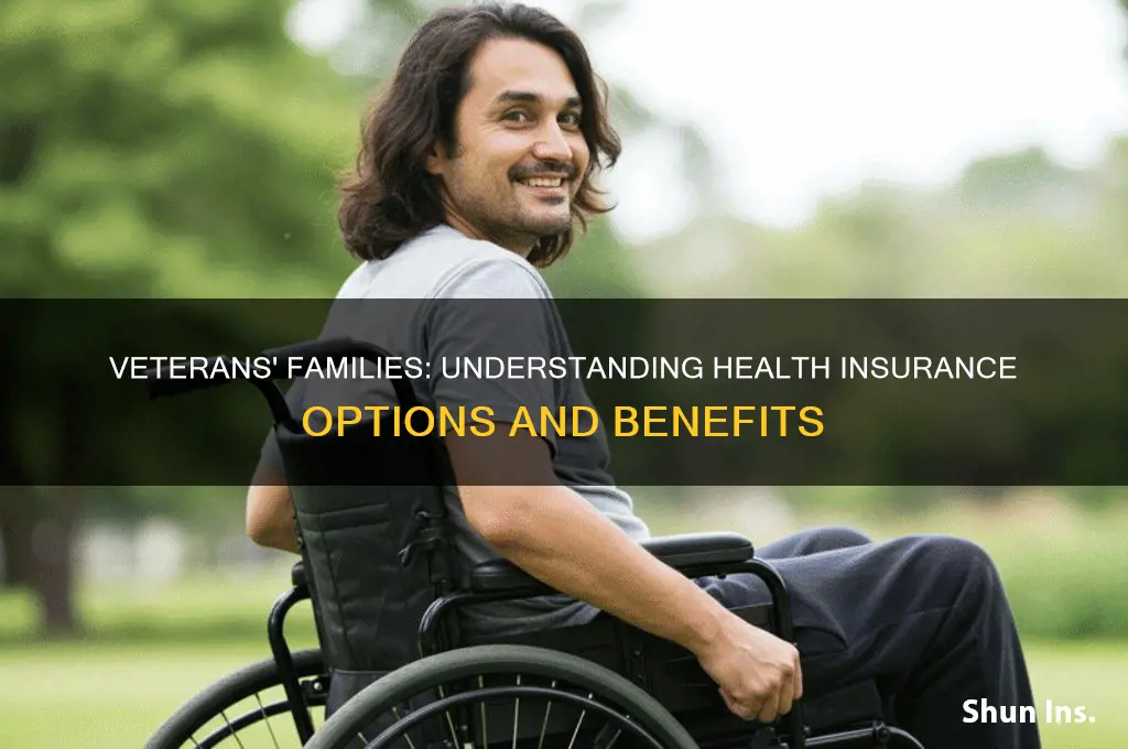 what aboit health insurance for vetrans familys