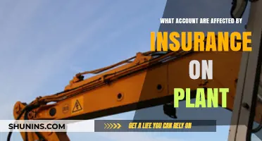 Plant Insurance: Which Accounts Are Impacted?