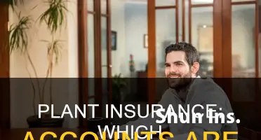 what account are affected by insurance on plant