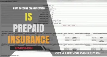 Understanding Prepaid Insurance as a Current Asset