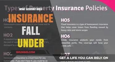 Insurance Accounts: Where Do They Belong?