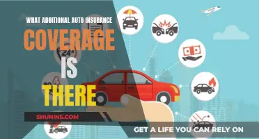 Explore Additional Auto Insurance Coverage Options