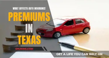 Texas Auto Insurance: Factors Affecting Premium Rates