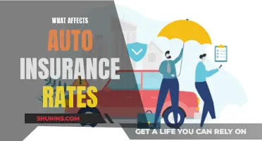 Auto Insurance Rates: Factors and Impact