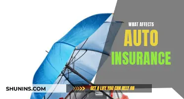 Auto Insurance: Factors Affecting Your Premiums and Coverage