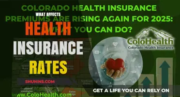 Key Factors Influencing Your Health Insurance Premiums Explained