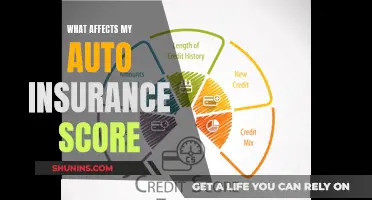 Factors Influencing Your Auto Insurance Score