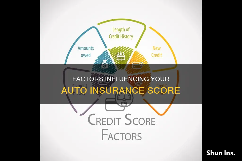 what affects my auto insurance score