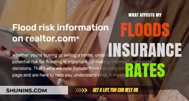 Factors Influencing Flood Insurance Rates