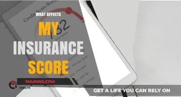 Factors Influencing Your Insurance Score
