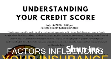 what affects my insurance score