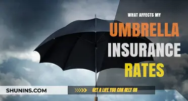 Umbrella Insurance Rates: Factors Affecting Your Policy Costs