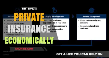 Economic Factors Influencing Private Insurance Costs