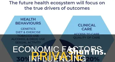 what affects private insurance economically