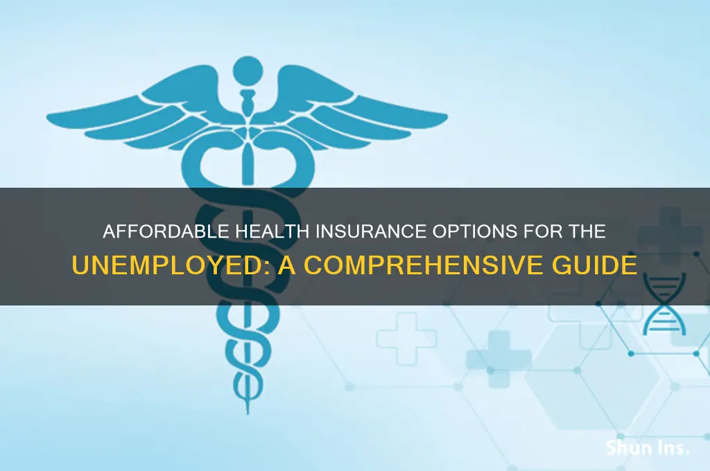 what affordable health insurance is available for unemployed