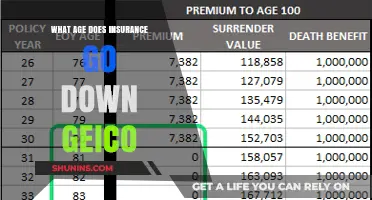 Insurance Rates and Age: The GEICO Guide