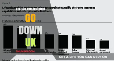 Insurance Costs: When Do They Drop in the UK?