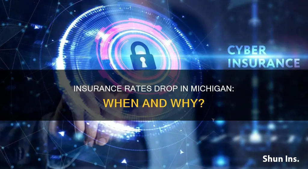 what age does insurance rates drop mi