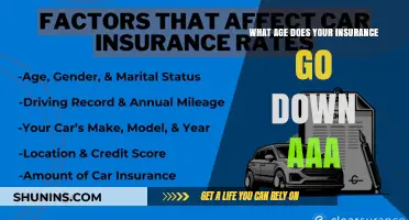 Insurance Costs: When Does AAA Premiums Drop?
