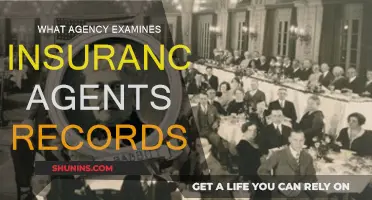 Who Scrutinizes Insurance Agents' Records?