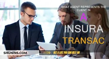 Who Represents Whom in an Insurance Transaction?