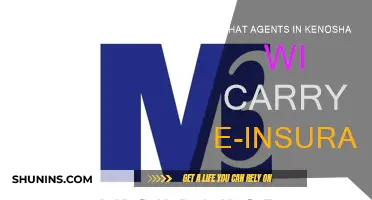 Best E-Insurance Agents in Kenosha, WI