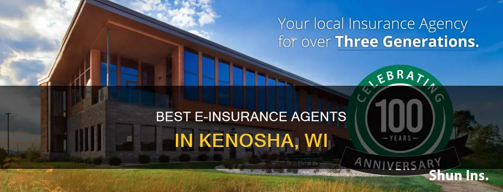 what agents in kenosha wi carry e-insurance