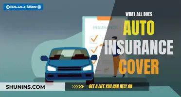 Auto Insurance Coverage: What's Included and What's Not