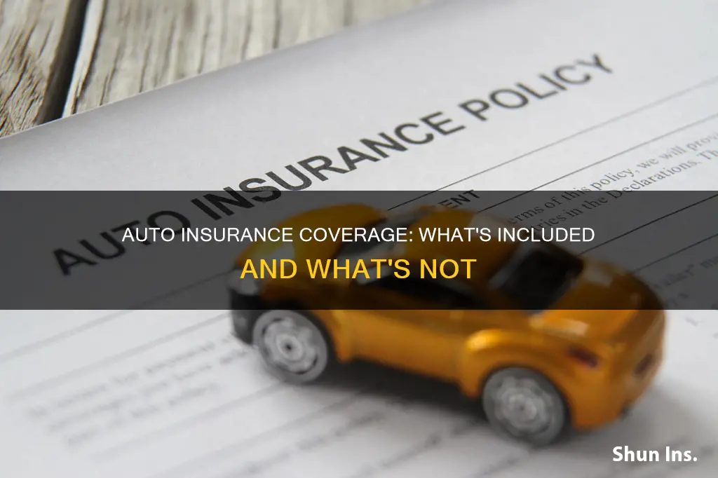 what all does auto insurance cover