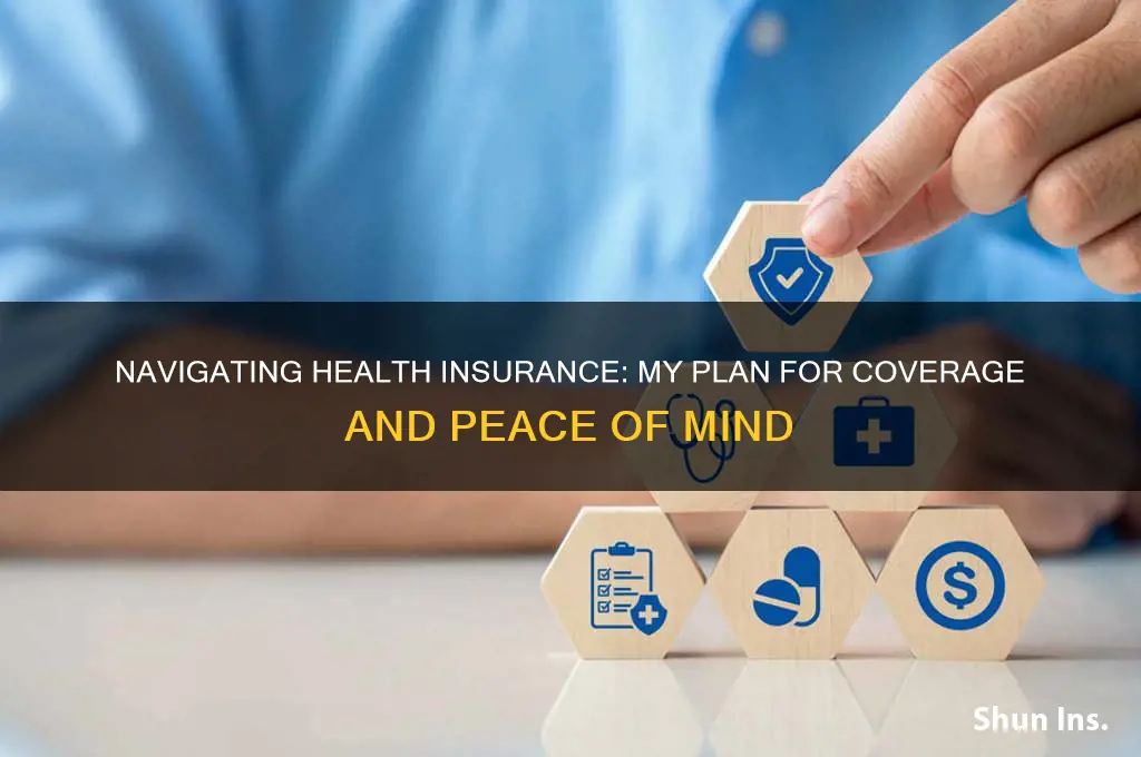 what am i going to do about health insurance