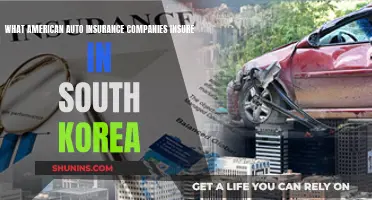 Auto Insurance Abroad: American Companies in South Korea