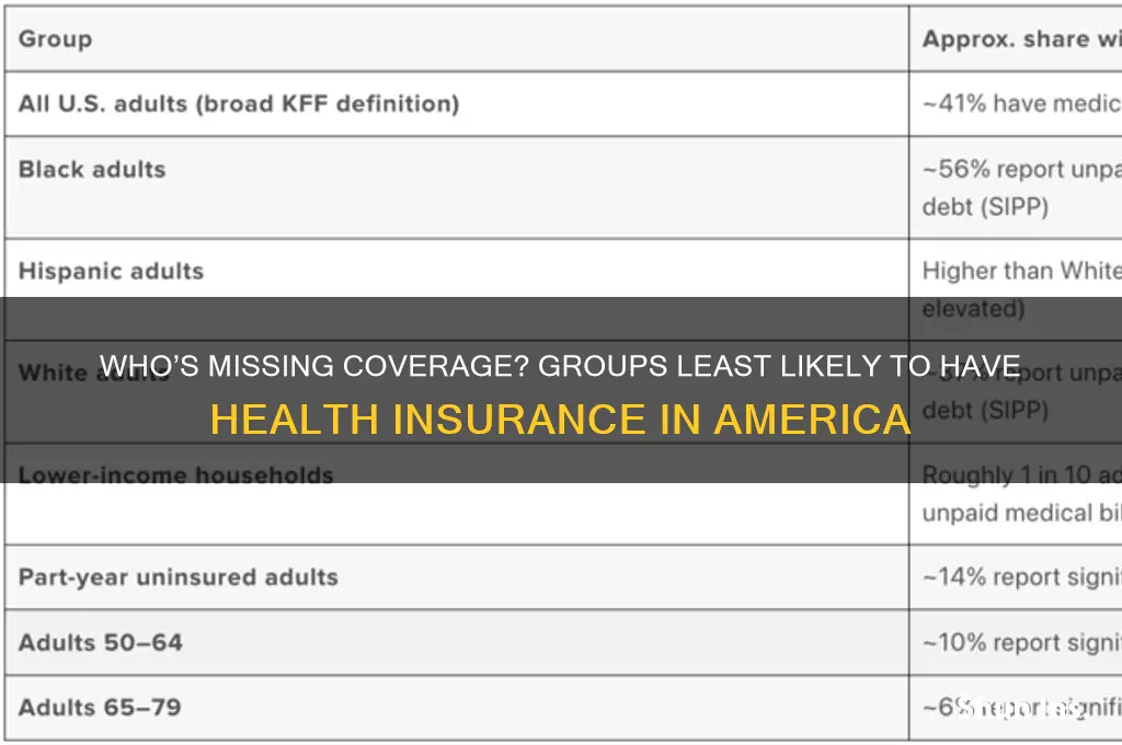 what americans are least likely to have health insurance