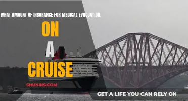 Cruise Medical Emergencies: Insuring Your Evacuation