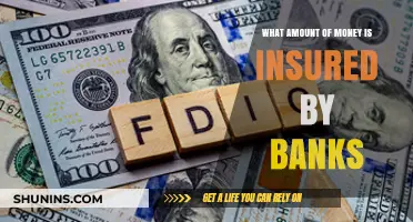 Insured Money: Banks and Your Savings