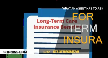 Key Questions to Ask Your Term Insurance Agent
