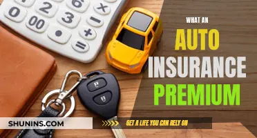 Understanding Auto Insurance Premiums: Cost and Coverage Factors