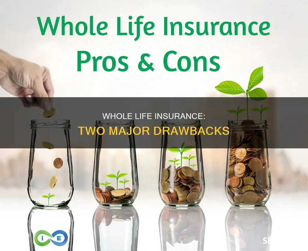 what are 2 disadvantages of whole life insurance