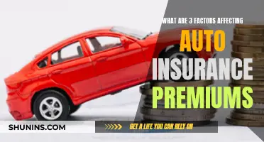 Factors Influencing Auto Insurance Premiums: A Comprehensive Overview