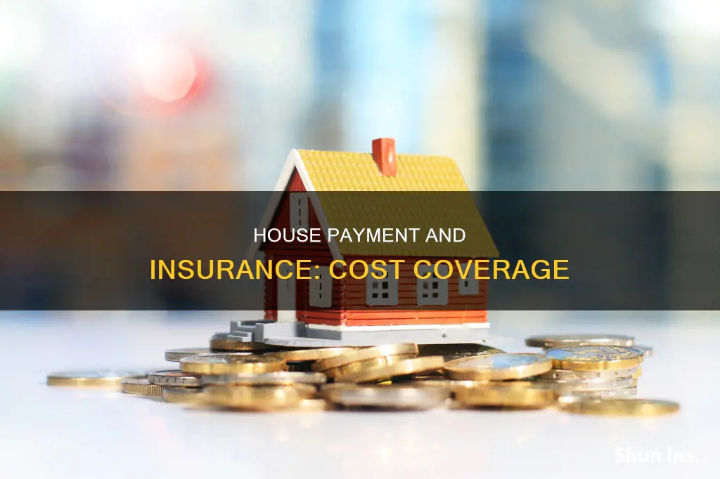 what are a house payment and insurance examples of