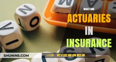 Understanding Actuaries: Key Roles in Insurance Risk Management and Pricing